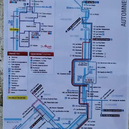 Face Au Mont-blanc שאמוני