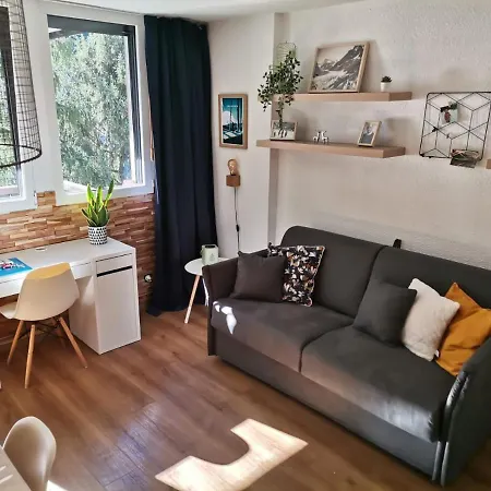 Face Au Mont-blanc *